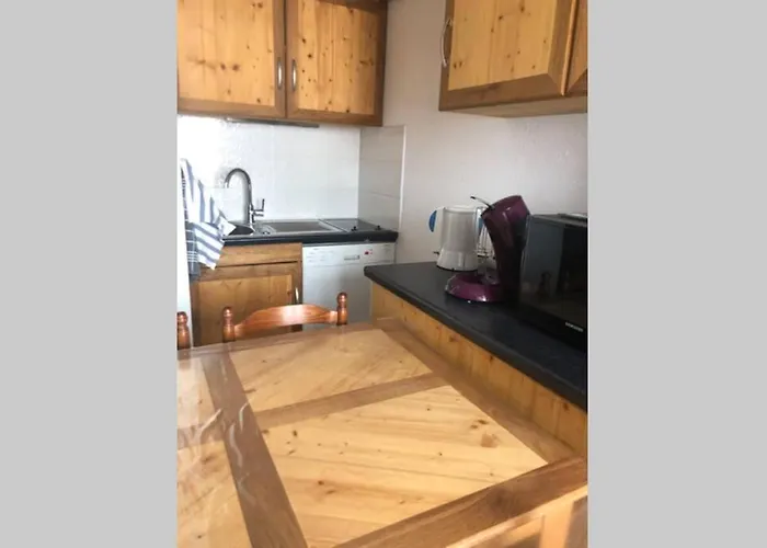 Apartment Petit Labellise Les 2 Alpes Arc En Ciel Telesiege Petite Aiguille *