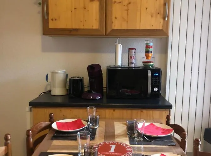 Petit Labellise Les 2 Alpes Arc En Ciel Telesiege Petite Aiguille Apartment Les Deux Alpes