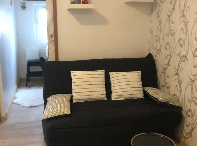 Petit Labellise Les 2 Alpes Arc En Ciel Telesiege Petite Aiguille Apartment Les Deux Alpes