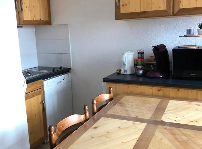 Petit Labellise Les 2 Alpes Arc En Ciel Telesiege Petite Aiguille