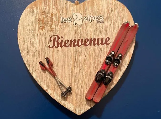 Petit Labellise Les 2 Alpes Arc En Ciel Telesiege Petite Aiguille